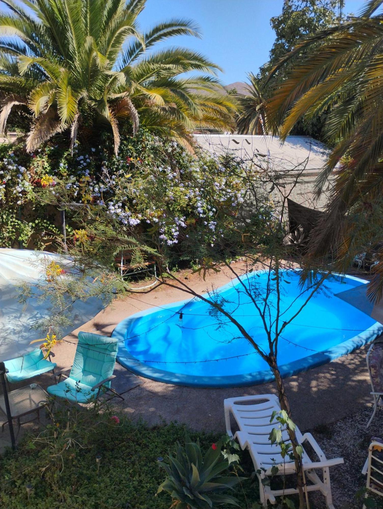 Hostal Donde Rita Vicuna Ngoại thất bức ảnh