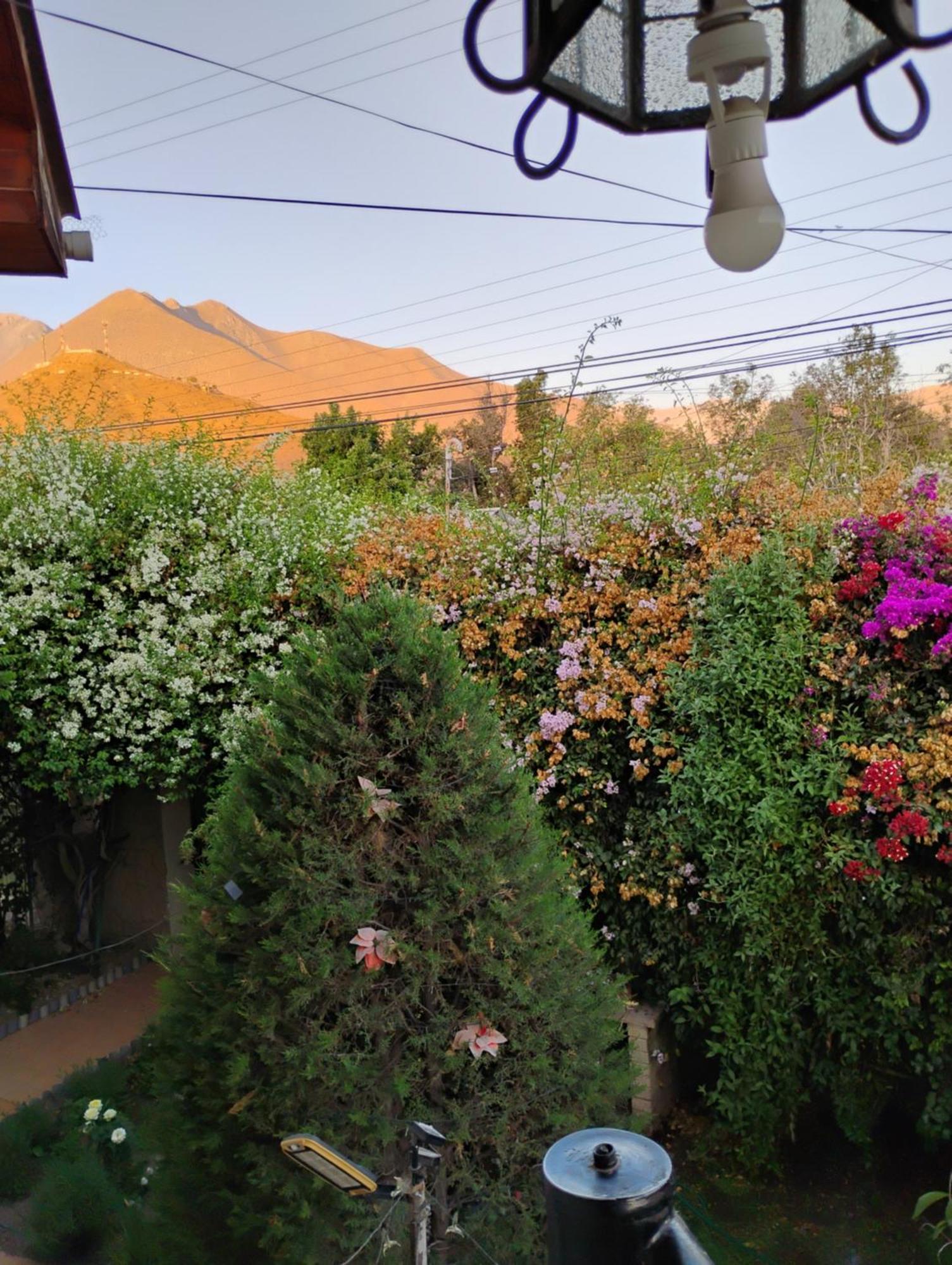 Hostal Donde Rita Vicuna Ngoại thất bức ảnh